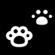 Pet Area
