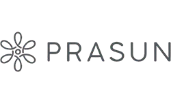 prasun spaces